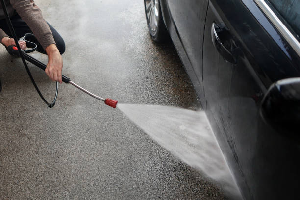 Best Roof Pressure Washing  in Mount Carmel, TN